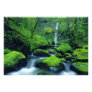 USA, Oregon, Columbia River Gorge National 3