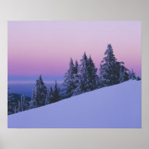 USA, Oregon, Deschutes National Forest, Dusk Poster