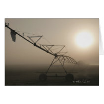 USA, Oregon, Marion County, Irrigation and fog Card