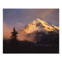 USA, Oregon, Mt. Hood National Forest. Rolling