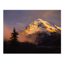 USA, Oregon, Mt. Hood National Forest. Rolling Postcard