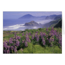 USA, Oregon, Nesika Beach. Lupine and Oregon Greeting Card