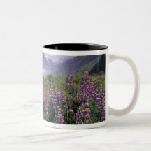 USA, Oregon, Nesika Beach. Lupine and Oregon Coffee Mug