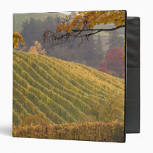 USA, Oregon, Newberg. Vineyard in the fall. Binder