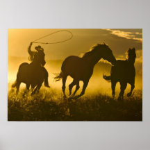 USA, Oregon, Seneca, Ponderosa Ranch. Posters