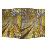 USA, Pacific Northwest. Aspen trees in autumn 3 Ring Binder