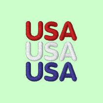 USA Red, White, and Blue Hoodie embroidered shirts