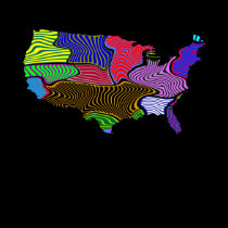 USA Shirt - Customize with Election, Military or ?