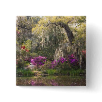 USA, South Carolina, Charleston. Cypress Trees 2 Pin