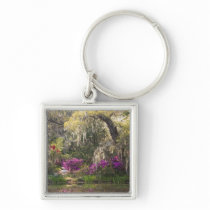 USA, South Carolina, Charleston. Cypress Trees 2 Key Chains