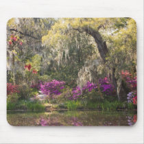 USA, South Carolina, Charleston. Cypress Trees 2 Mousepad