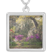 USA, South Carolina, Charleston. Cypress Trees 2 Necklaces