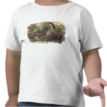 USA, South Carolina, Charleston. Cypress Trees 2 T-shirts