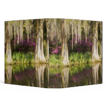USA, South Carolina, Charleston. Cypress Trees Vinyl Binder