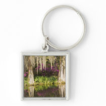 USA, South Carolina, Charleston. Cypress Trees Key Chains