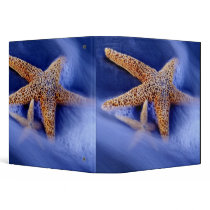 USA, South Carolina, Hilton Head Island. Two Binder