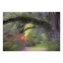 USA, South Carolina, Magnolia Gardens.