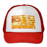 USA stars and stripes flag hat