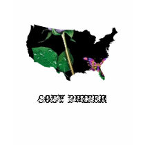 USA T-Shirt - Customized by codyphifer USA T-Shirt - Customized