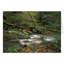 USA, Tennessee. Big South Fork National River Card