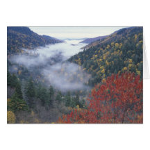 USA, Tennessee, Great Smokey Mountains National Card