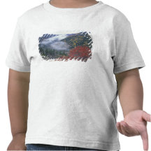 USA, Tennessee, Great Smokey Mountains National Tee Shirt