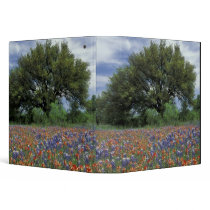 USA, Texas, Marble Falls Paintbrush and Vinyl Binder