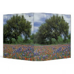 USA, Texas, Marble Falls Paintbrush and Vinyl Binder