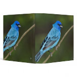 USA, Texas, South Padre Island. Portrait of 2 binders