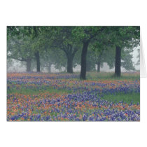 USA, Texas, Texas Hill Country Expansive field Card