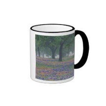 USA, Texas, Texas Hill Country Expansive field Mugs