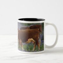 USA, Texas, Texas Hill Country, Hereford Mug