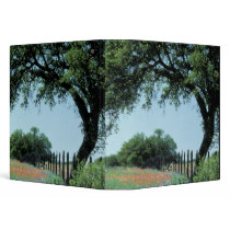 USA, Texas, Texas Hill Country Paintbrush and Vinyl Binders