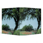 USA, Texas, Texas Hill Country Paintbrush and Vinyl Binders