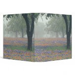 USA, Texas. Texas paintbrush and bluebonnets 3 Ring Binder
