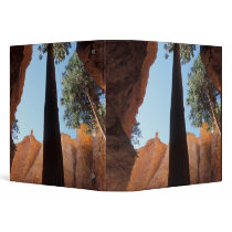 USA, Utah, Bryce Canyon National Park. Tall Binders