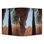 USA, Utah, Bryce Canyon National Park. Tall binders