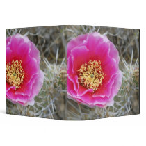 USA, Utah, Canyonlands NP, Desert Prickly Pear 3 Ring Binders