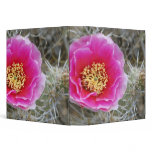 USA, Utah, Canyonlands NP, Desert Prickly Pear 3 Ring Binders