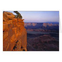 USA, Utah, Dead Horse Point SP. Late light turns Cards