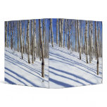 USA, Utah, Dixie National Forest, Aspen Grove binders