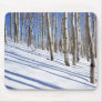 USA, Utah, Dixie National Forest, Aspen Grove Mousepads