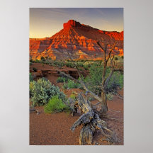 USA, Utah. Paria Canyon sandstone formation at Posters