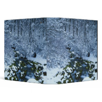 USA, Utah, Wasatch-Catch National Forest, Vinyl Binder
