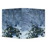 USA, Utah, Wasatch-Catch National Forest, binders