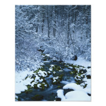 USA, Utah, Wasatch-Catch National Forest, Photographic Print