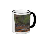 USA, Utah, Zion National Park.  Scenic from the Coffee Mug