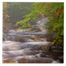 USA, Vermont, East Arlington, Flowing streams Tiles