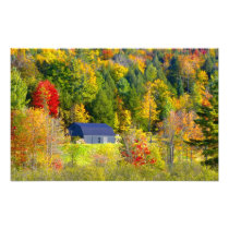 USA, Vermont. Fall foilage along Highway 100.