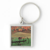 USA, Vermont, Farm. Keychains